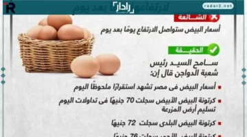 أسعار البيض في كفر الشيخ تتصدر السوق السبت 20 ديسمبر 2025